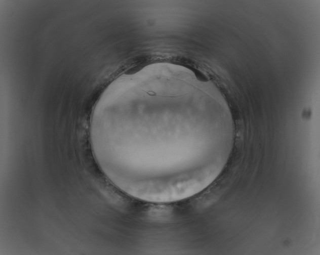 X0000092110369200710101148