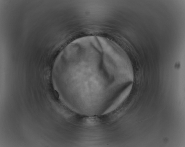 X0000092110372200710101148