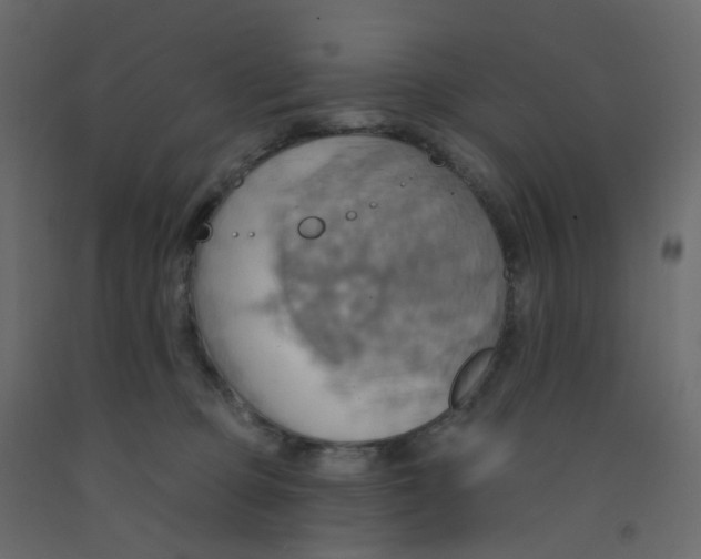 X0000092110373200710101148