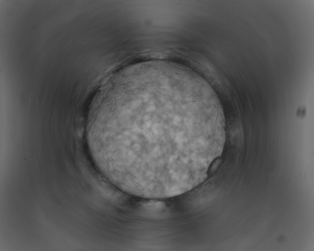 X0000092110374200710101148