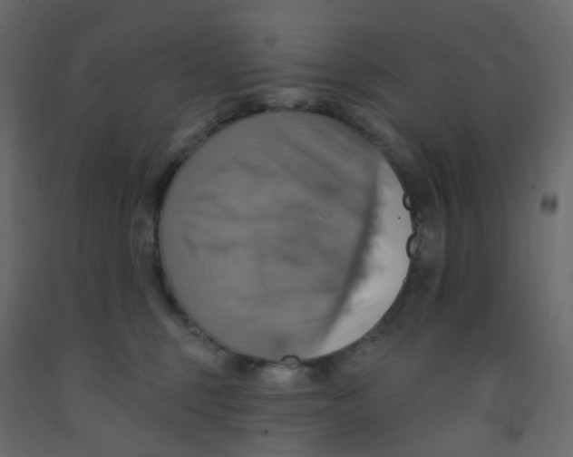 X0000092110375200710101148