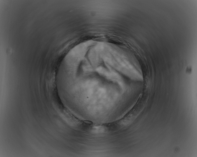 X0000092110376200710101148
