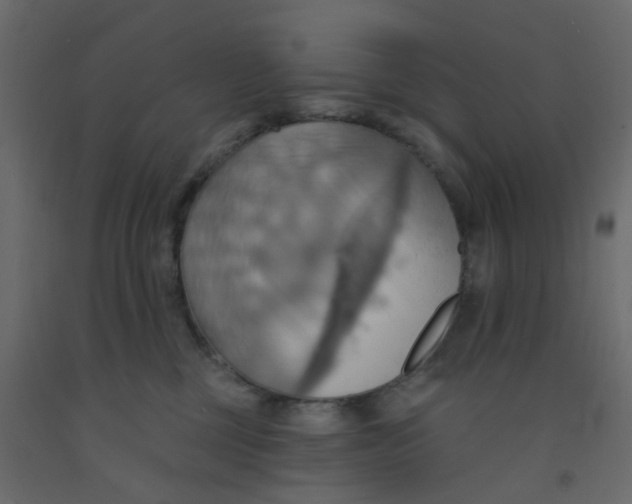 X0000092110377200710101148