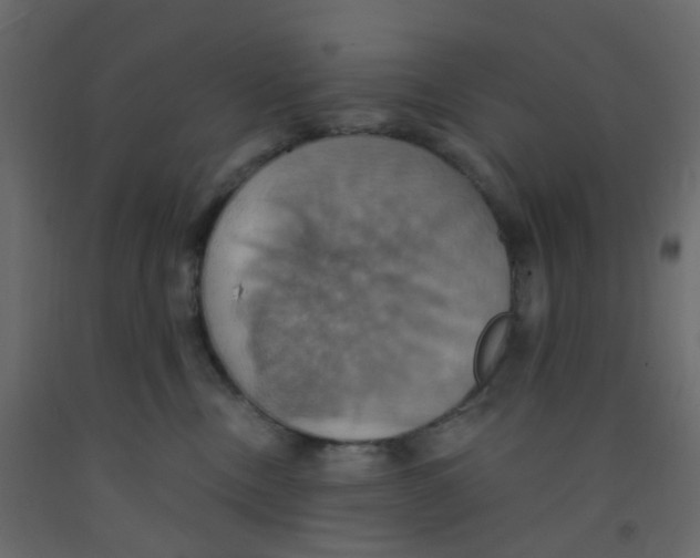 X0000092110378200710101148