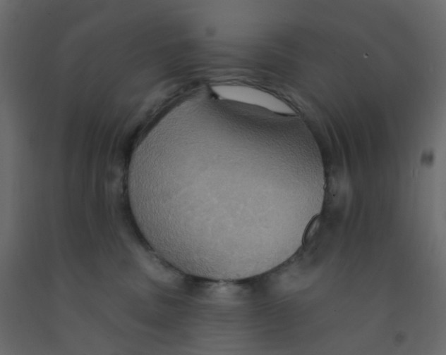 X0000092110379200710101148