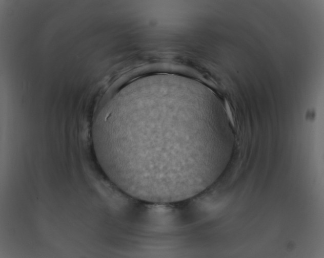 X0000092110380200710101148