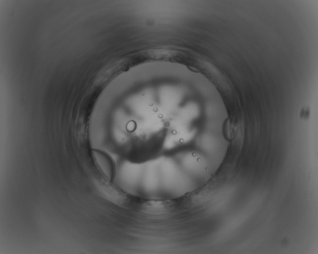 X0000092110381200710101148