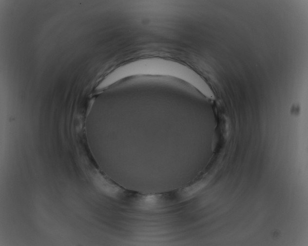 X0000092110382200710101148