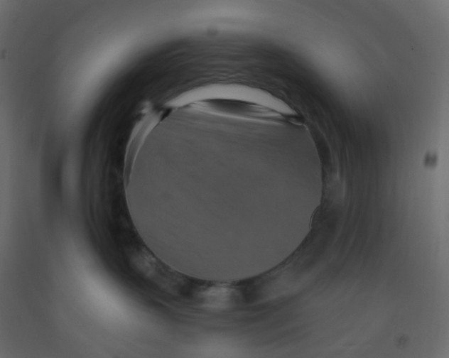 X0000092110383200710101148