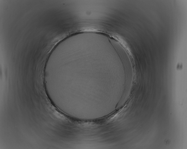 X0000092110385200710101148