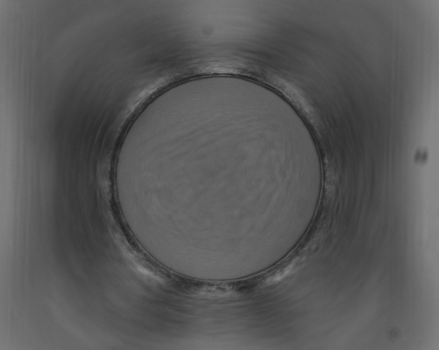 X0000092110386200710101148