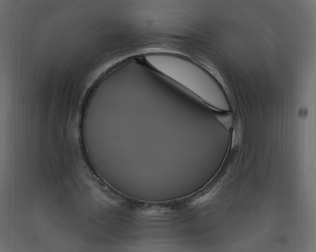 X0000092110387200710101147
