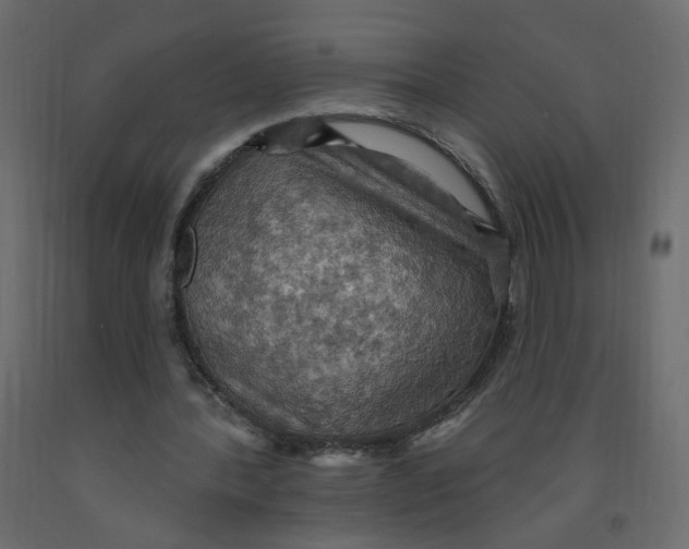X0000092110388200710101147