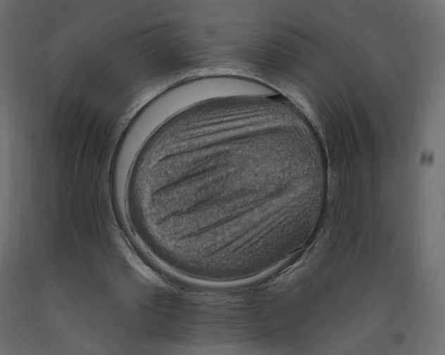 X0000092110389200710101147