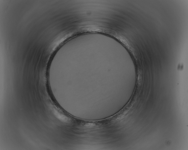 X0000092110390200710101147