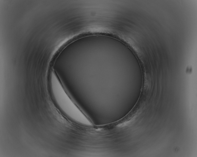 X0000092110391200710101147