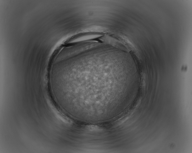 X0000092110392200710101147