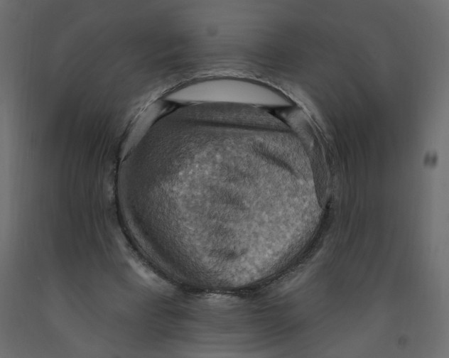 X0000092110393200710101147