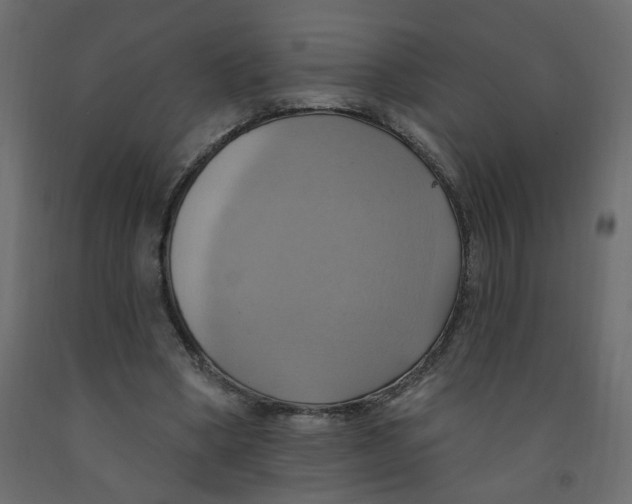 X0000092110394200710101147