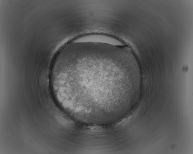 X0000092110395200710101147
