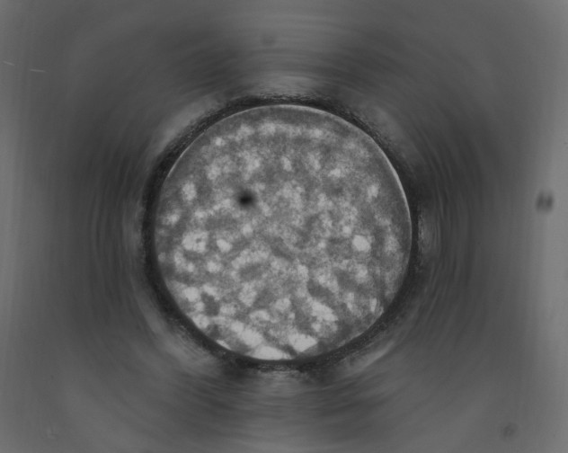 X0000092110396200710101147