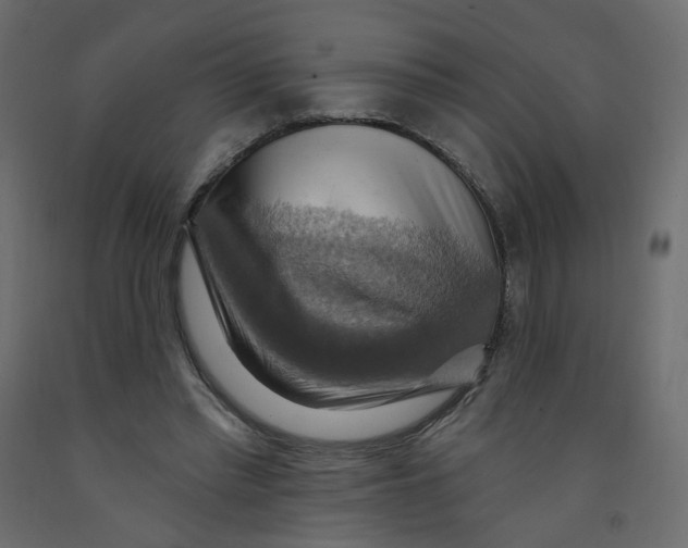 X0000092110397200710101147
