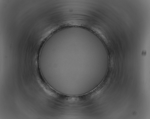 X0000092110398200710101147