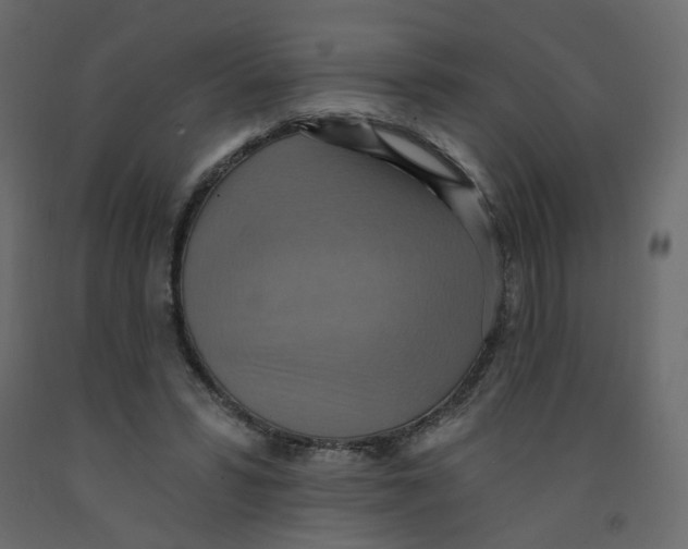 X0000092110399200710101147