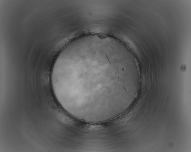 X0000092110401200710101147