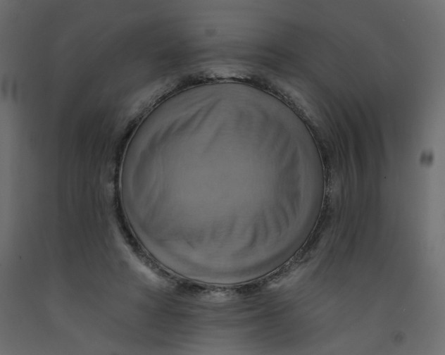 X0000092110402200710101147