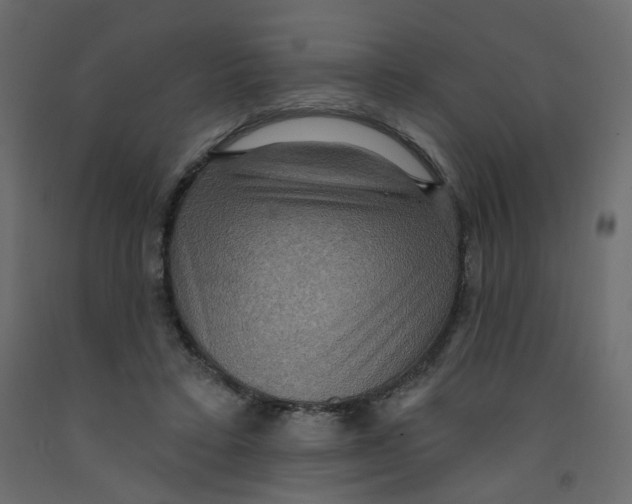 X0000092110403200710101147