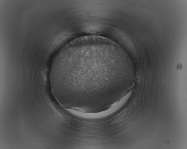 X0000092110404200710101147