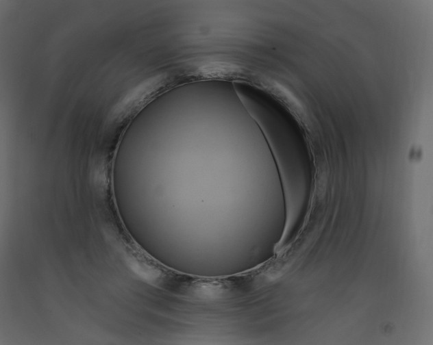 X0000092110405200710101147
