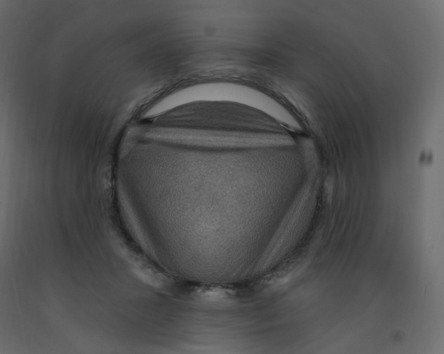 X0000092110407200710101147