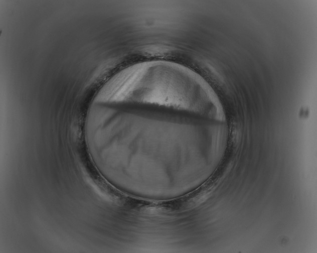 X0000092110408200710101147