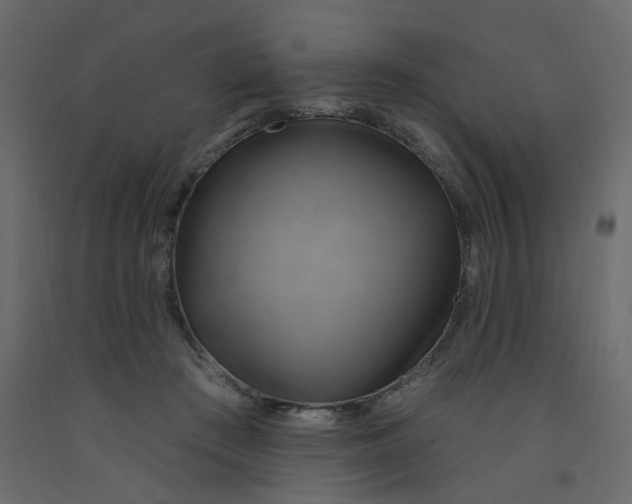 X0000092110409200710101147