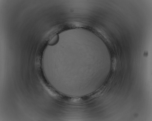 X0000092110410200710101147