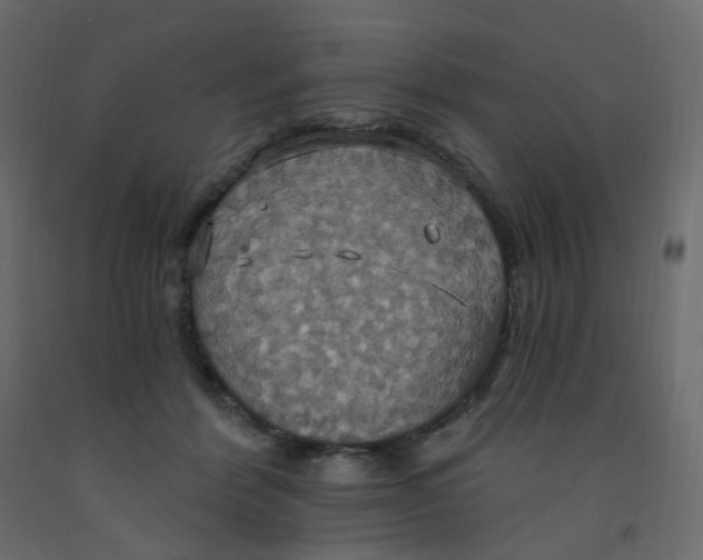 X0000092110412200710101147