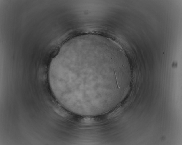 X0000092110413200710101147