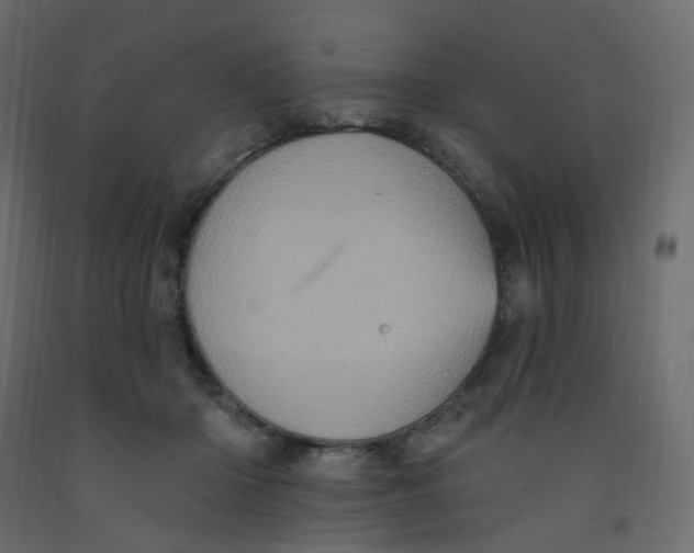 X0000092110414200710101147