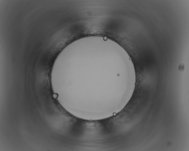 X0000092110415200710101147