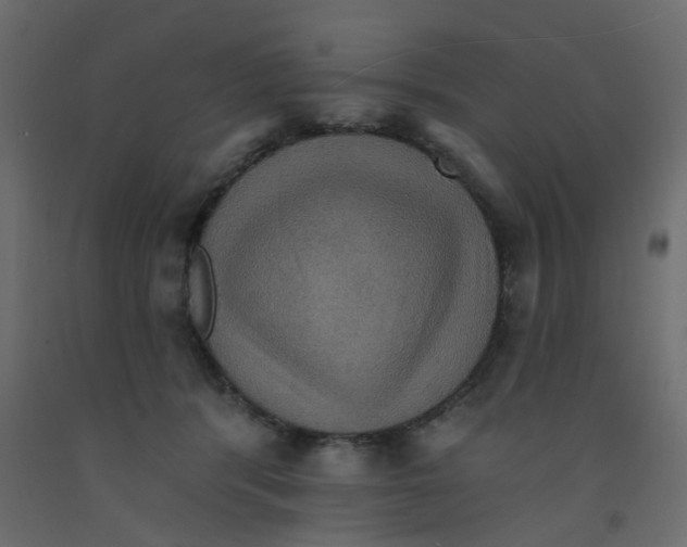 X0000092110416200710101147