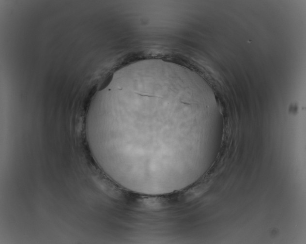 X0000092110417200710101147