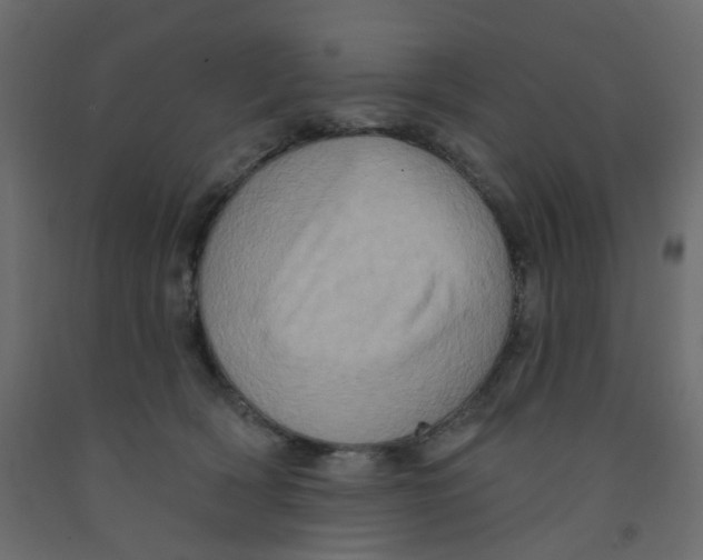 X0000092110418200710101147