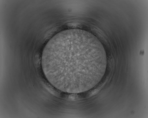 X0000092110420200710101147