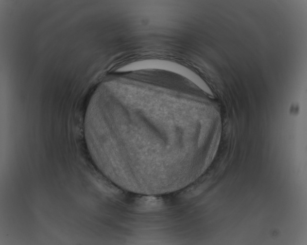 X0000092110421200710101147