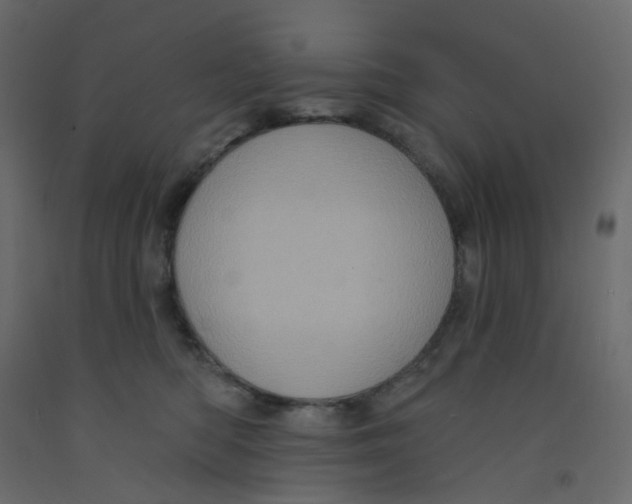 X0000092110422200710101147
