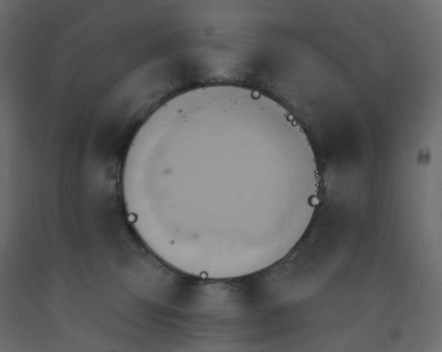 X0000092110423200710101147