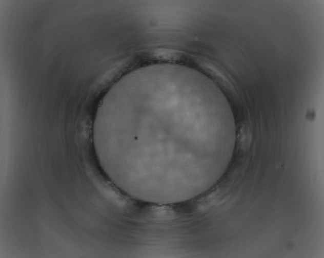 X0000092110424200710101147