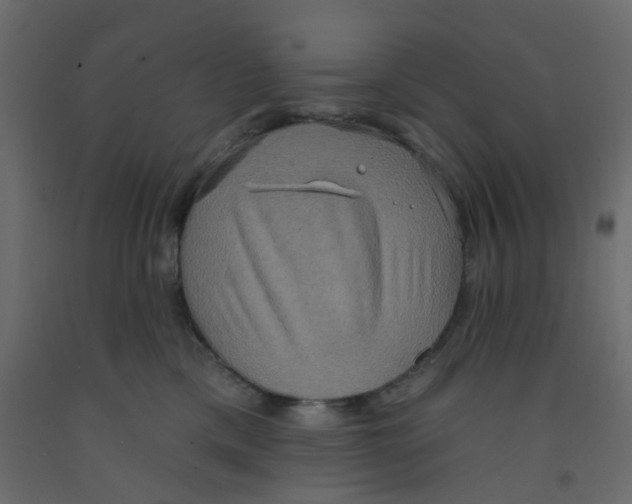 X0000092110425200710101147